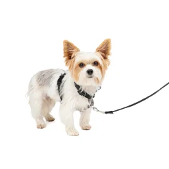 3 in 1 Harness-PetSafe Fashion