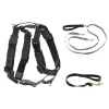 3 in 1 Harness with Two Point Control Leash-PetSafe Cheap