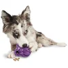 Busy Buddy® Barnacle-PetSafe Sale