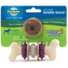 Busy Buddy® Bristle Bone®-PetSafe Best