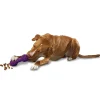 Busy Buddy® Chuckle™-PetSafe Discount