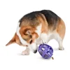 Busy Buddy® Kibble Nibble™-PetSafe Store