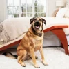 CozyUp™ Bed Ramp-PetSafe Outlet