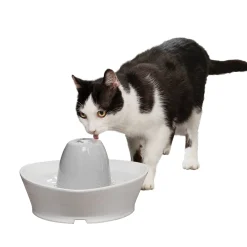 Creekside Ceramic Pet Fountain-PetSafe Clearance