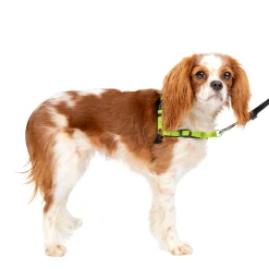 Deluxe Easy Walk® Harness-PetSafe Outlet