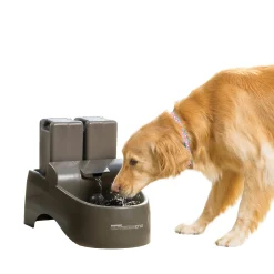Drinkwell® Outdoor Dog Fountain-PetSafe Online