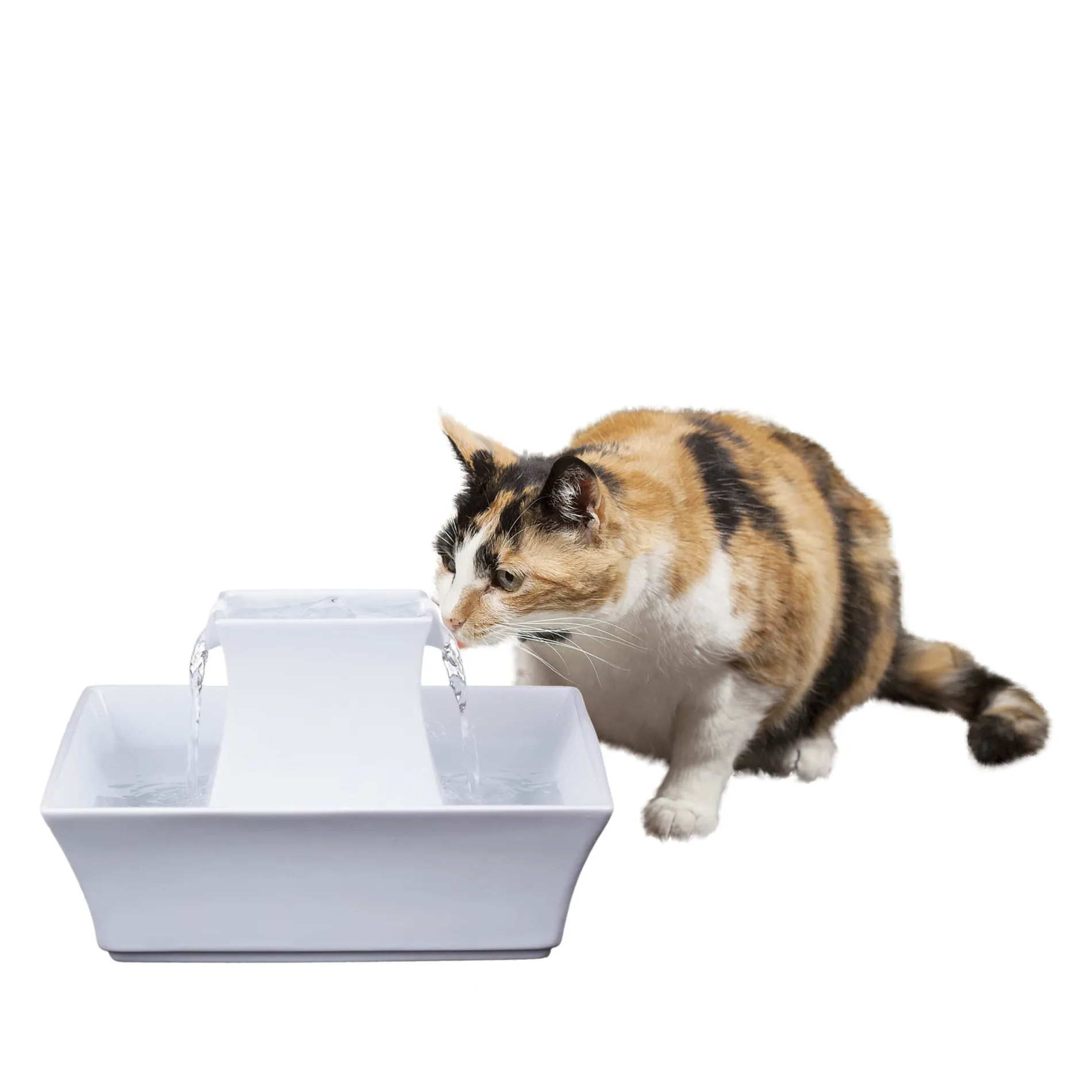 Drinkwell® Pagoda Fountain-PetSafe New