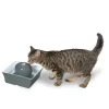 Drinkwell® Seascape Pet Fountain-PetSafe Store