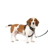 Easy Walk® Comfort No-Pull Dog Harness-PetSafe Store