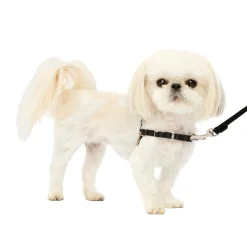 Easy Walk® Harness, No Pull Dog Harness-PetSafe Cheap