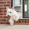 Extreme Weather Sliding Glass Pet Door™-PetSafe Store
