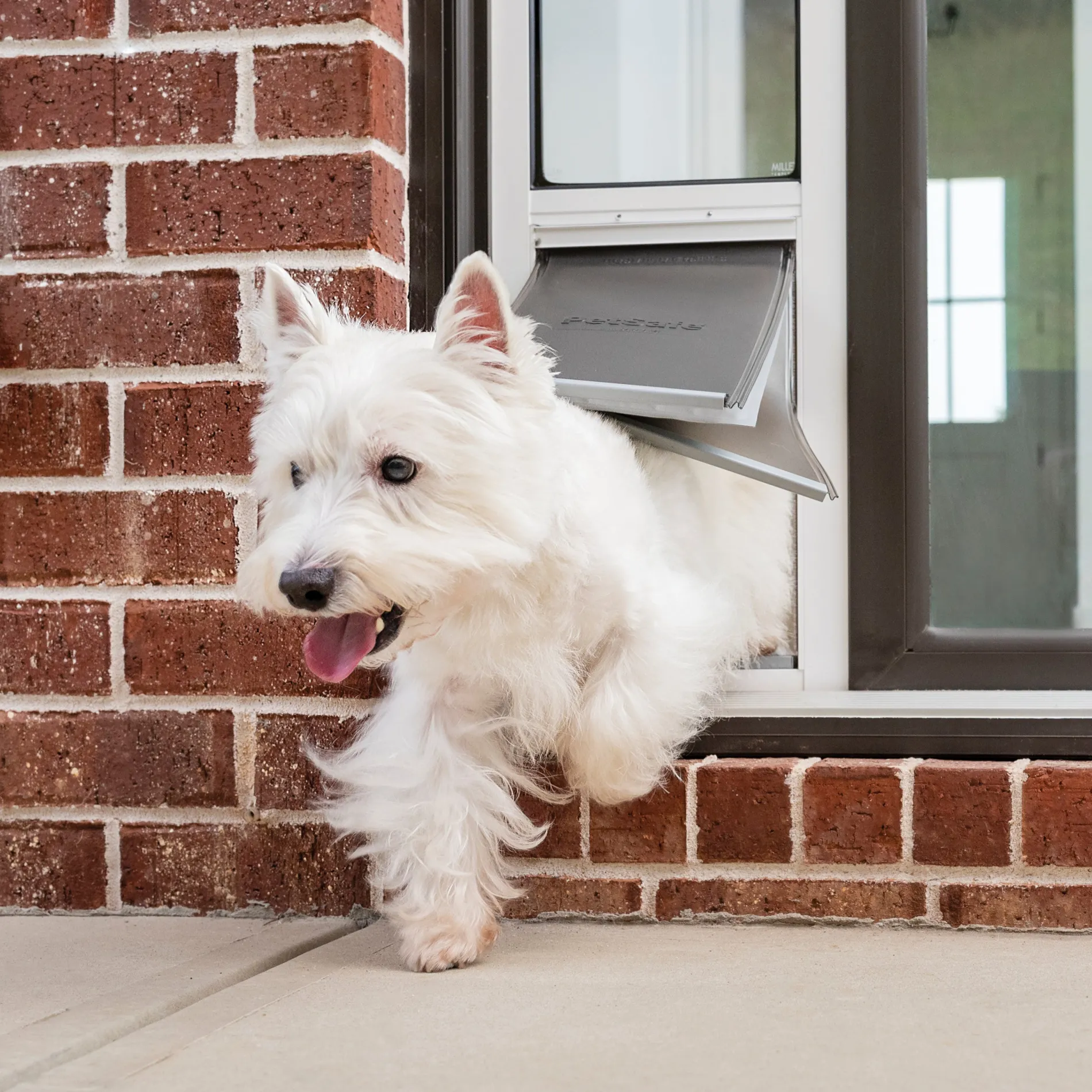 Extreme Weather Sliding Glass Pet Door™-PetSafe Store