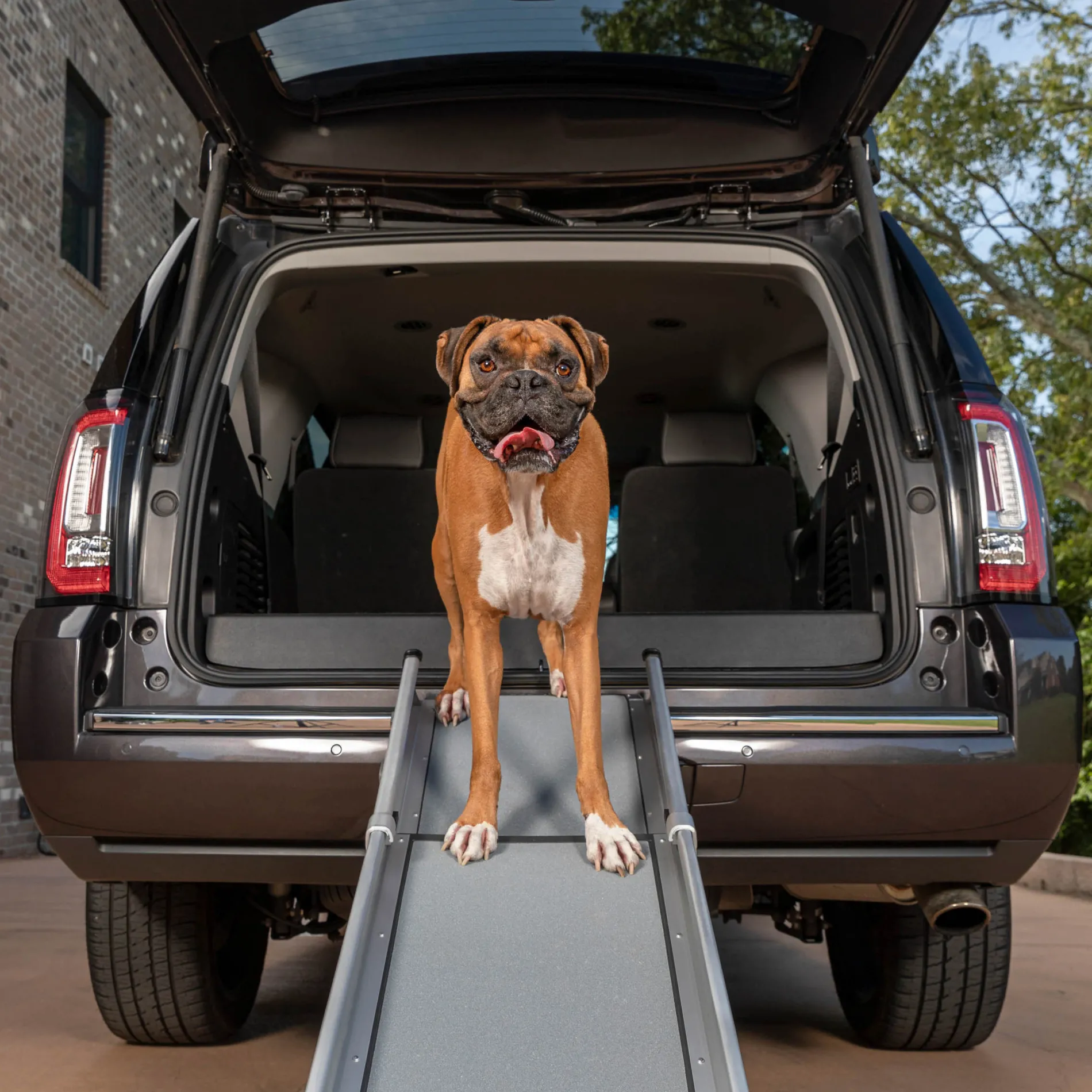Happy Ride® Compact Telescoping Dog Ramp-PetSafe Flash Sale