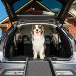 Happy Ride® Folding Dog Ramp-PetSafe Best
