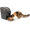 Healthy Pet Simply Feed™-PetSafe Best