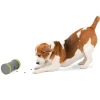 Kibble Chase™ Roaming Treat Dropper-PetSafe Cheap