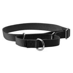Martingale Collar-PetSafe Outlet