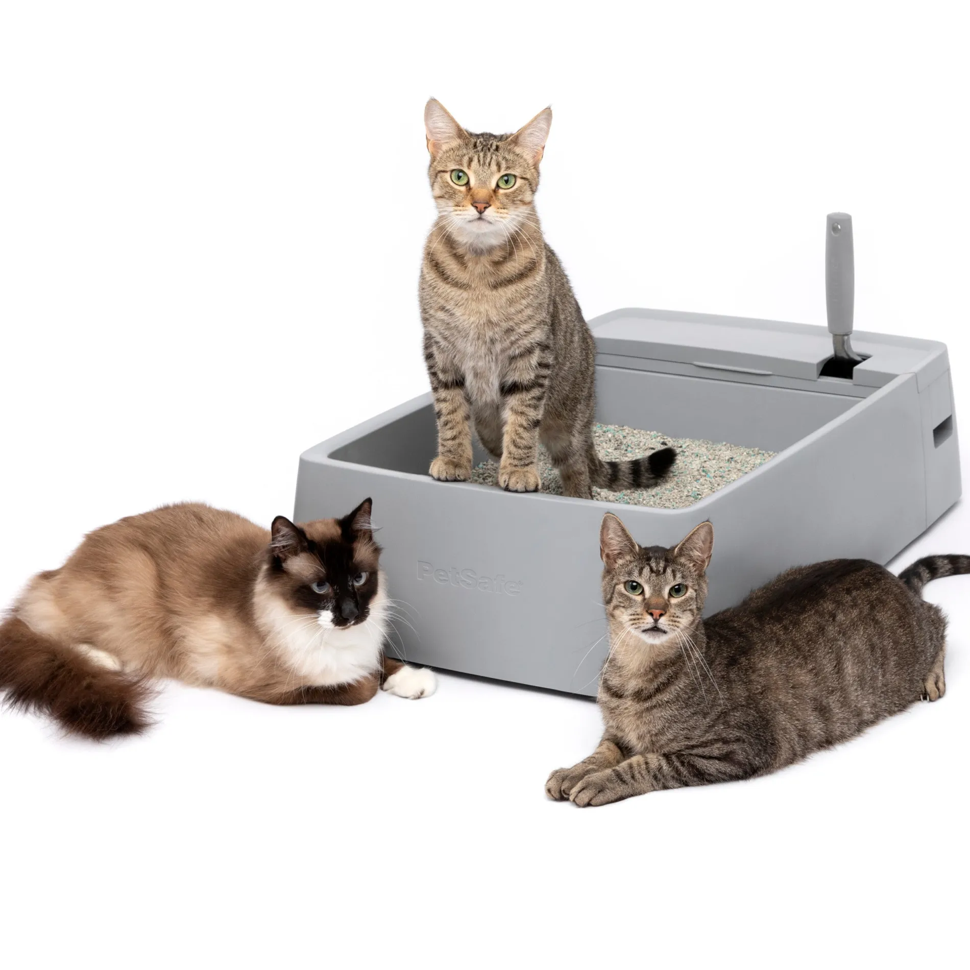 Multi-Cat Litter Box-PetSafe Shop