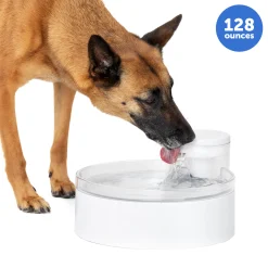 Outlast™ Dog Fountain, 128 oz-PetSafe Cheap