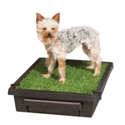 Pet Loo™ Pet Toilet-PetSafe Best