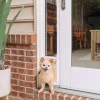 Sliding Glass Pet Door, 2 Piece-PetSafe Flash Sale
