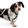 Sure-Fit Harness®-PetSafe Best