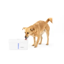 Viva™ 140 oz Pet Fountain-PetSafe Discount